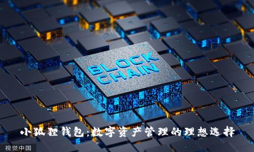 小狐狸钱包：数字资产管理的理想选择