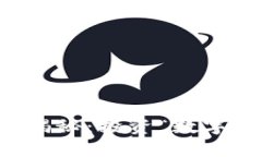 虚拟币主流币揭秘：投资