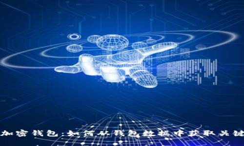 揭秘加密钱包：如何从钱包数据中获取关键信息