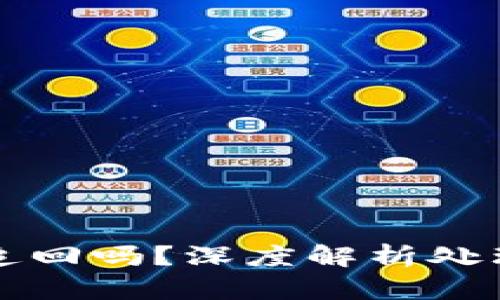 虚拟币被盗能被追回吗？深度解析处理方案与应对策略