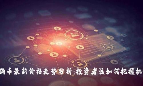狗狗币最新价格走势分析：投资者该如何把握机会？