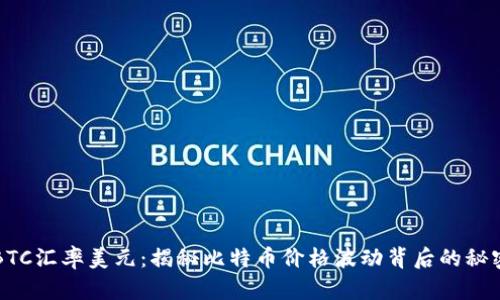 BTC汇率美元：揭秘比特币价格波动背后的秘密