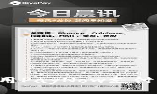 : 国内如何顺利使用PayNow支付服务，提升生活品质