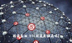 揭开真相：BTC到底是骗局